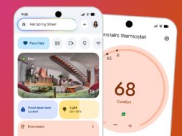 Gemini for Home is rolling out to lucky early access users – and it's already snitching on misbehaving pets