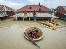 Guiding Disaster Risk Reduction Investments Through AI-Powered Tools