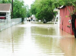 Merging AI, Storytelling and Community for a More Resilient Texas - UT Austin News