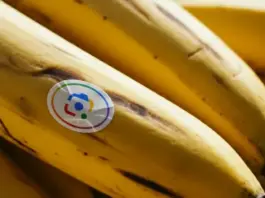 Nano Banana expands to Search and NotebookLM with 5 billion images created