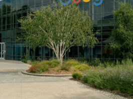 Google brings AI Mode search feature to users in Ireland – The Irish Times