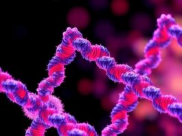 Revolutionary AI Tool Streamlines Enzyme-Substrate Matching