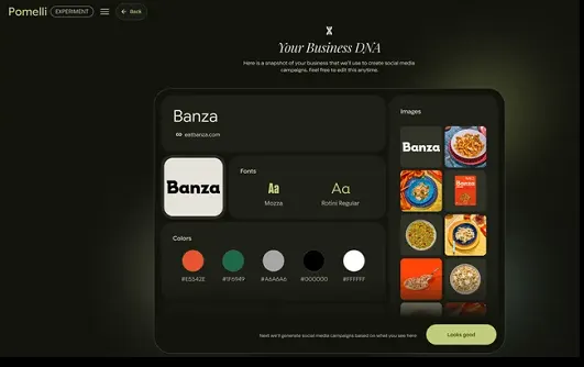 Z3M6Ly9kaXZlc2l0ZS1zdG9yYWdlL2RpdmVpbWFnZS9wb21lbGxpLnBuZw.webp.webp Google Launches AI Tool to Assist SMBs in Creating Brand Promotions