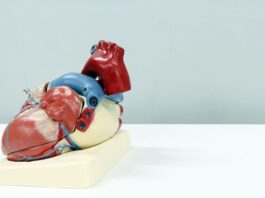 AI and Omics Tools Reshape Cardiovascular Drug Discovery