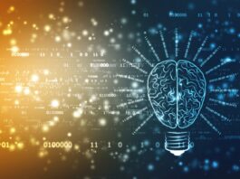 AI tools could optimize poultry processing management