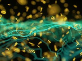 Low-code tool n8n bridges gap between AI models and business