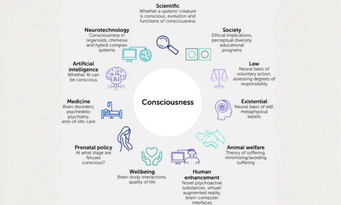 consciousness2028129.jpg
