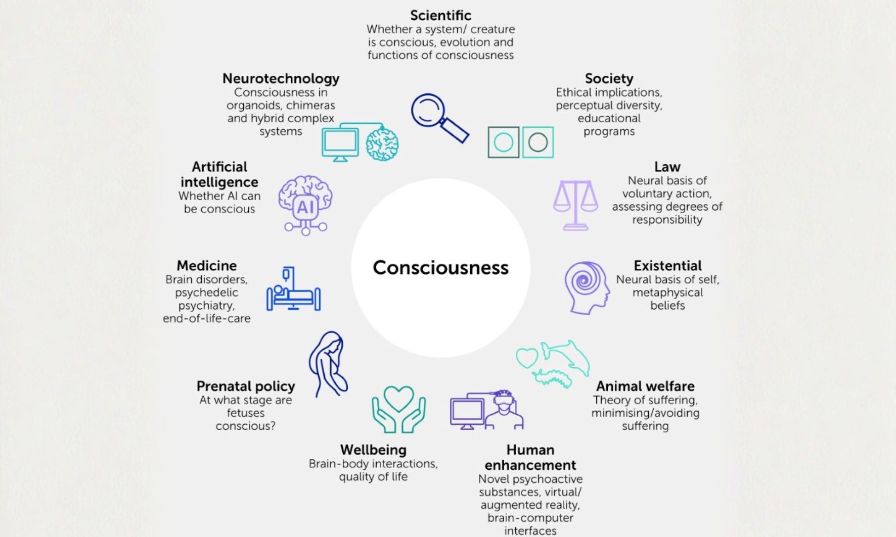 consciousness2028129.jpg
