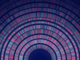 Moody’s 2025 Cyber Survey: Key findings