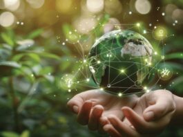 Faculty win Bezos grants to use AI for environmental challenges