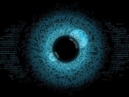 Need the best AI content detector in 2025? Try these four tools (you probably already use one)