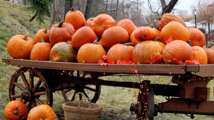 gettyimages-2180461149.jpg A photo of many pumpkins on top of a wooden wagon lit up with fairy lights (gettyimages-2180461149)