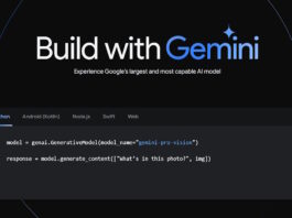 How to Access and Use Google Gemini API Key (with Examples)