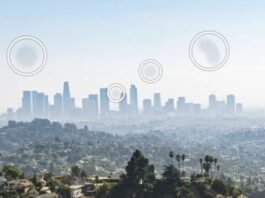 New AI tools arrive in Lightroom and Photoshop