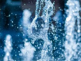 AI Predicts Water Biofilter Performance