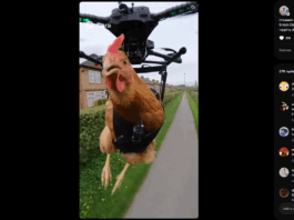 OpenAI’s New Sora Social Network Could Take Down TikTok. Here’s Why. | by Thomas Smith | The Generator | Nov, 2025