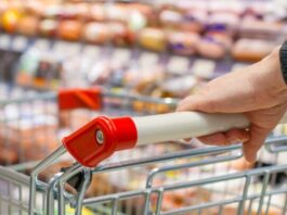 NextEd Partners with OpenAI to Launch ChatGPT Edu in Australia