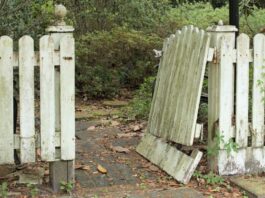 Perplexity’s Agents Crash Amazon’s Gate, Spark Legal Showdown