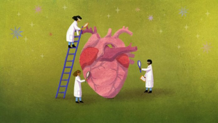 Every doctor needs a basic level of AI literacy - statnews.com