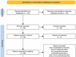 Effectiveness of AI-Based Tools in Detecting Diabetic Retinopathy in Low- and Middle-Income Countries: A Systematic Review of Diagnostic Performance and Implementation Feasibility - The Cureus Journal of Medical Science