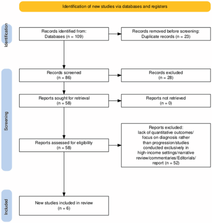 Effectiveness of AI-Based Tools in Detecting Diabetic Retinopathy in Low- and Middle-Income Countries: A Systematic Review of Diagnostic Performance and Implementation Feasibility - The Cureus Journal of Medical Science