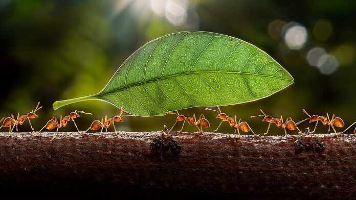 How Autonomous Agents Are Changing Infrastructure Management