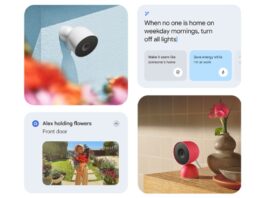 Google’s new home AI keeps seeing things… literally
