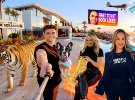 Meet the brains blurring our reality with AI videos set to become the new superstars of the Sora app