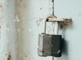 Protecting the Machines: Why Access Control is Critical to Securing AI Agents