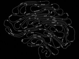 The Case That A.I. Is Thinking