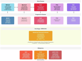 Artificial Intelligence-based agents in chronic liver disease: transforming diagnostic and therapeutic workflows through clinical decision-making