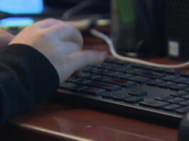 Washington schools embrace AI with free Microsoft tools for students | News