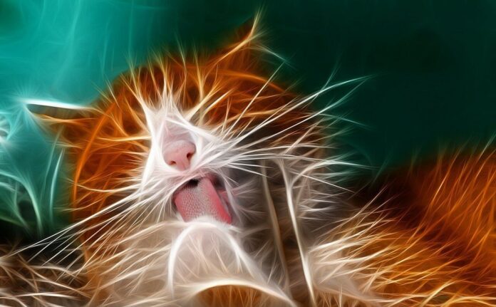 Goodbye Plugins: MCP Is Becoming the Universal Interface for AI