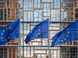 Can the Digital Markets Act Free Users' Data in the AI Age?