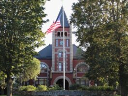 AI for Early Career Journalists