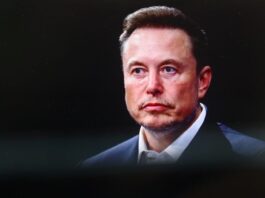 Elon Musk Was Once Asked By OpenAI CEO Sam Altman: 'I Want To Be The Next Elon Musk. How Do I Do That?' — Here's What The Tesla Chief Said - Alphabet (NASDAQ:GOOG), Alphabet (NASDAQ:GOOGL)