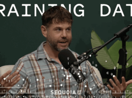 Why IDEs Won't Die in the Age of AI Coding: Zed Founder Nathan Sobo