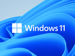 Windows 11 feature image