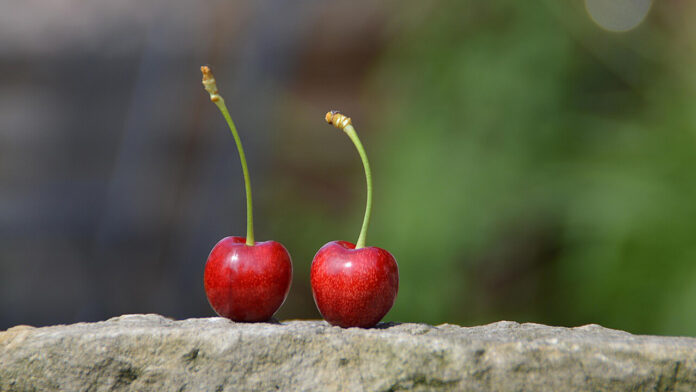 Generative AI Apps Need an Ecosystem, Not Just a Prompt