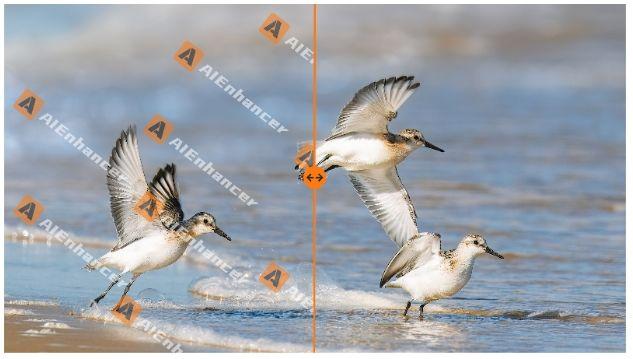 AIEnhancer watermark remover: Managing Image Quality With