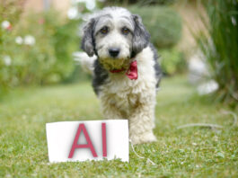 UConn, Georgia Tech Students Win ACORD Challenge Using AI Tools in Pet Insurance