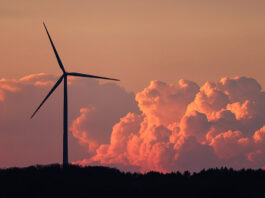 Why the MCP Server Is Now a Critical Microservice