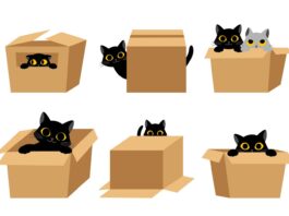 Revolutionizing Large Language Models: Innovative Approaches Unveiled | MIT News A new way to increase the capabilities of large language models | MIT News