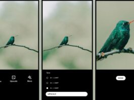 Screenshots show the before and after of an upscale of an image of a humming bird