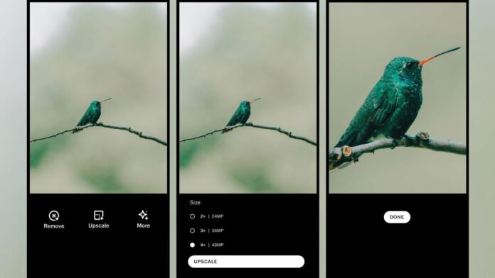 Screenshots show the before and after of an upscale of an image of a humming bird