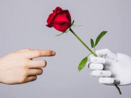 human hand reaching for red rose in robotic hand
