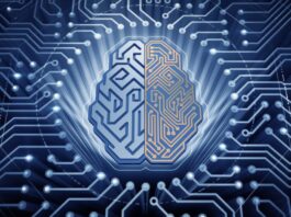 Texas Parks and Wildlife Outlines Internal AI Use Policy