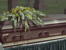 'Death clock' app uses AI to predict how long user might live 