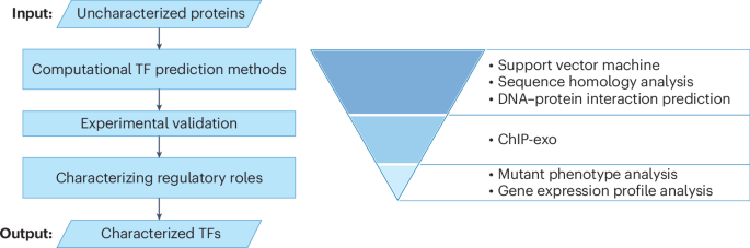 Approaches for accelerating microbial gene function discovery using artificial intelligence