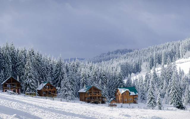 Complex luxury trips keep travel advisors busy despite AI planning tools